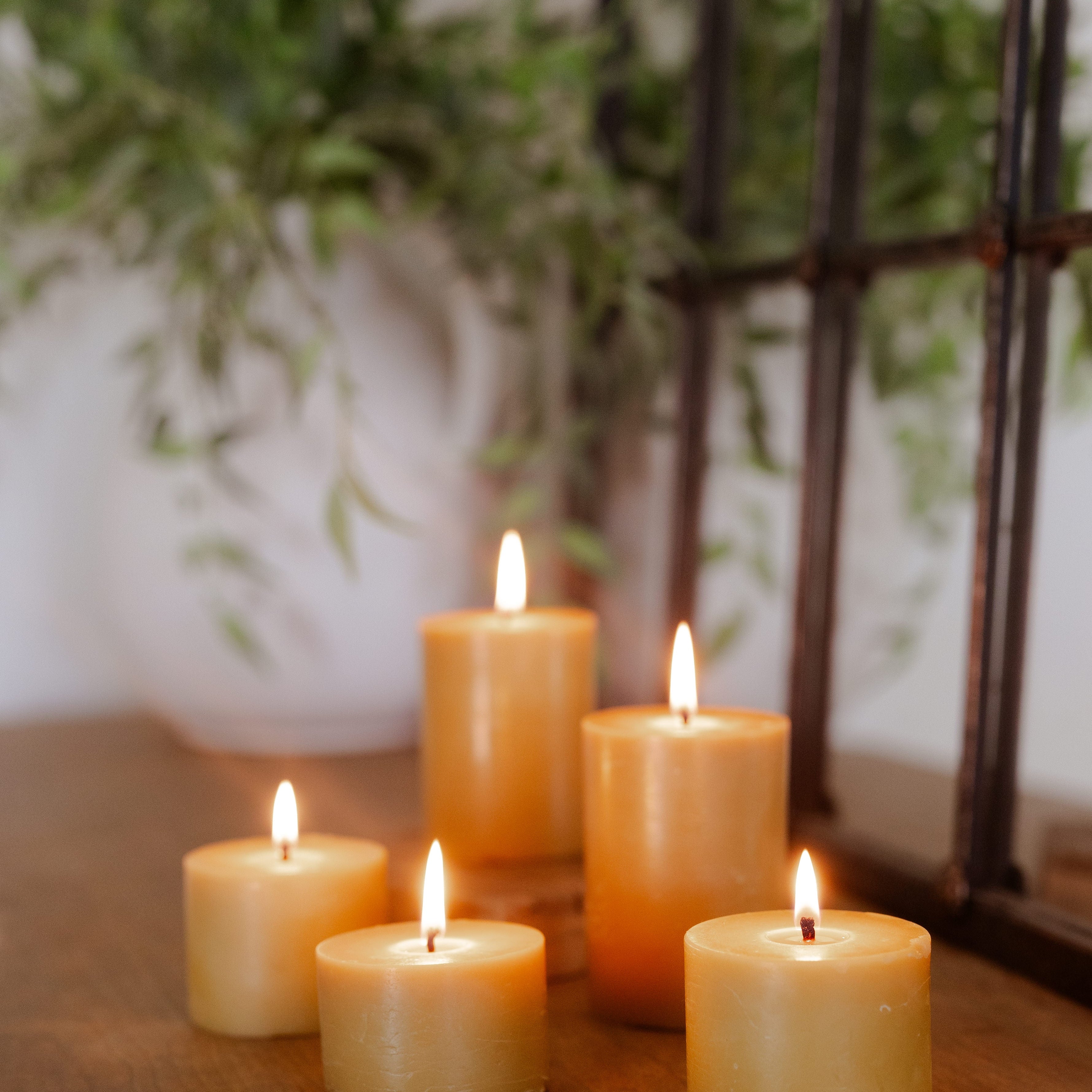 Emily Ritzer | Calm Minded Mom