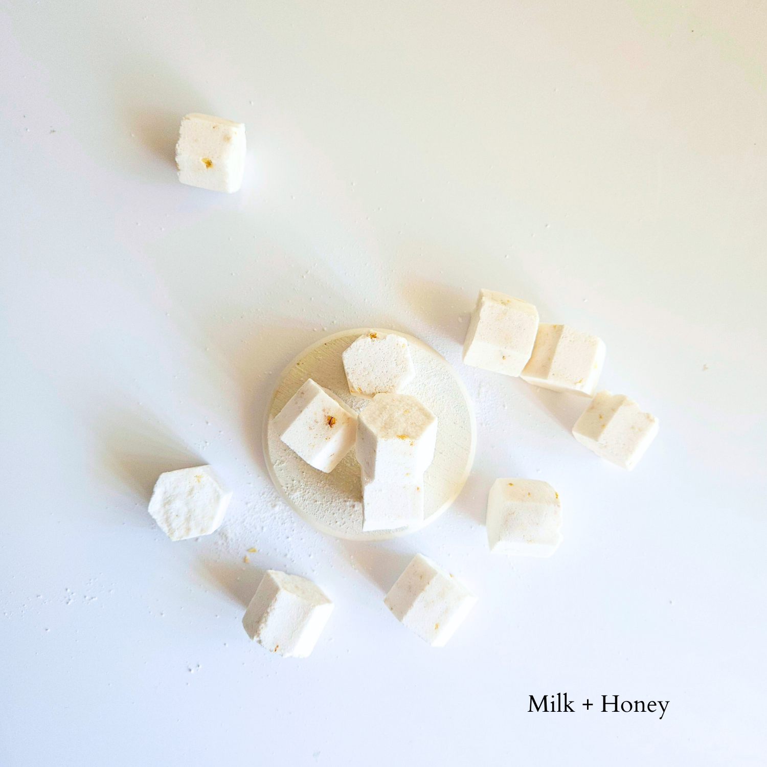 Milk + Body - Bulk Mini Shower Steamers | No Packaging-Free, Plastic-Free: Peppermint Eucalyptus