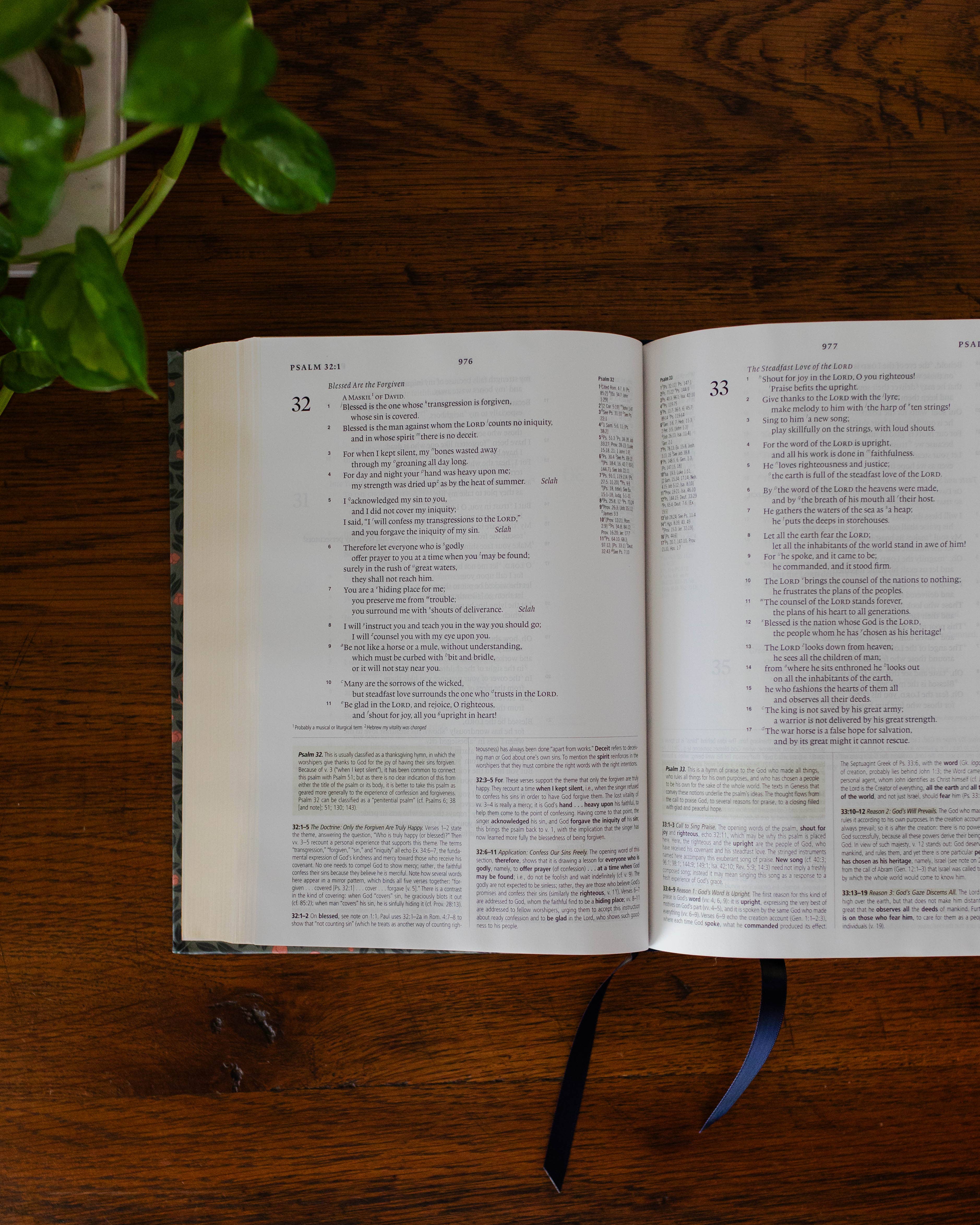 The Daily Grace Co - ESV Study Bible® | Abide