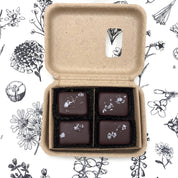 Farmhouse Chocolates - 4 Piece Dark Chocolate Covered Salted Caramels